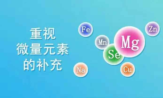 得了外阴白斑后能吃炸鸡和汉堡吗?