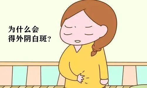 为什么会得外阴白斑?